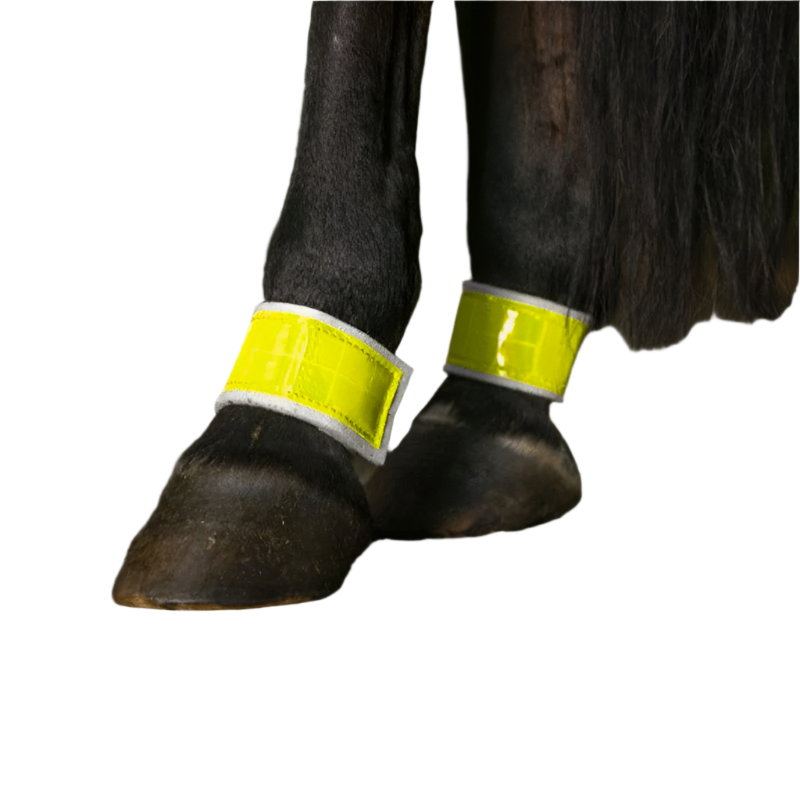 Norton - Bandages postérieurs jaune fluo | - Ohlala