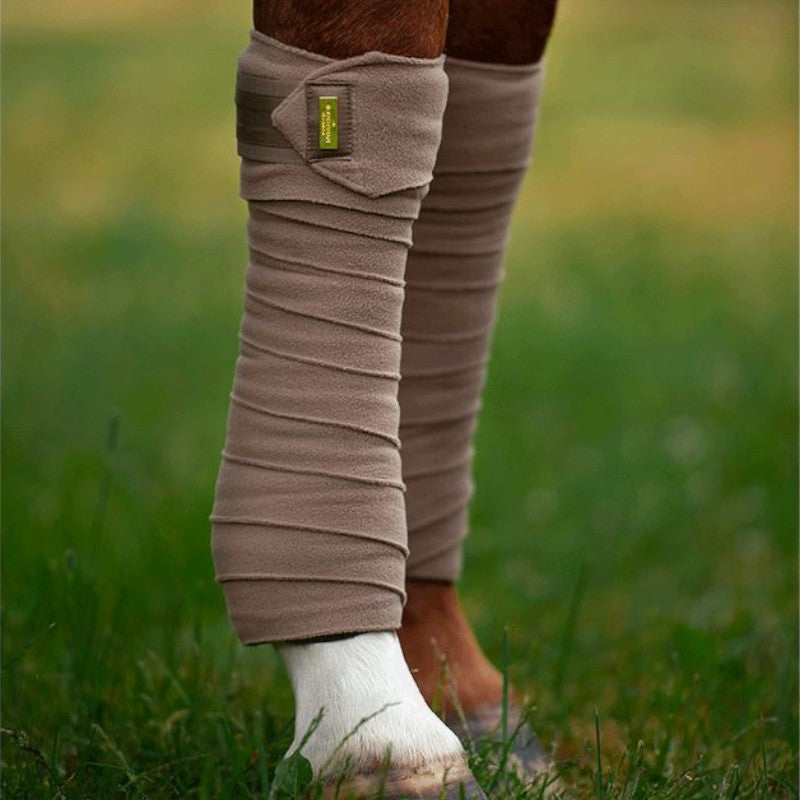 Equestrian Stockholm - Bandes de polo Champagne (x4) | - Ohlala