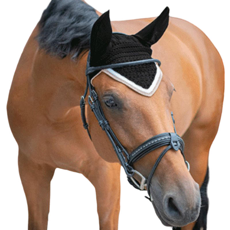 Paddock Sports - Bonnet Origine noir | - Ohlala