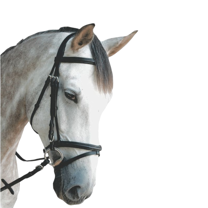 Privilege Equitation - Bridon Royan combiné avec rênes noir | - Ohlala