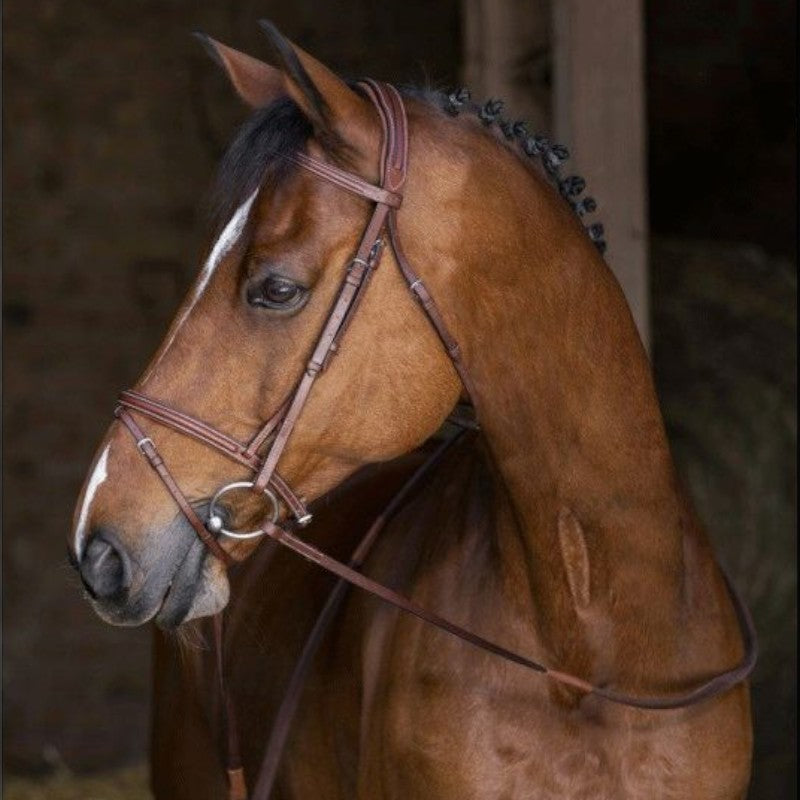 Eric Thomas - Hybrid "comfort" bridle with tan reins