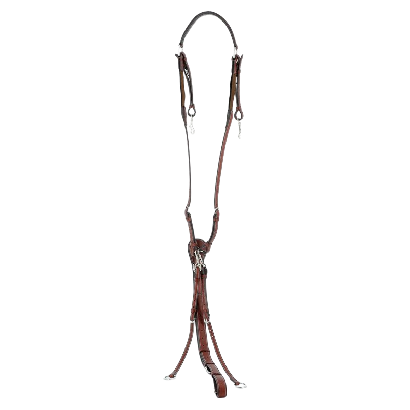 Flags & Cup - Collier de chasse Göteborg marron | - Ohlala