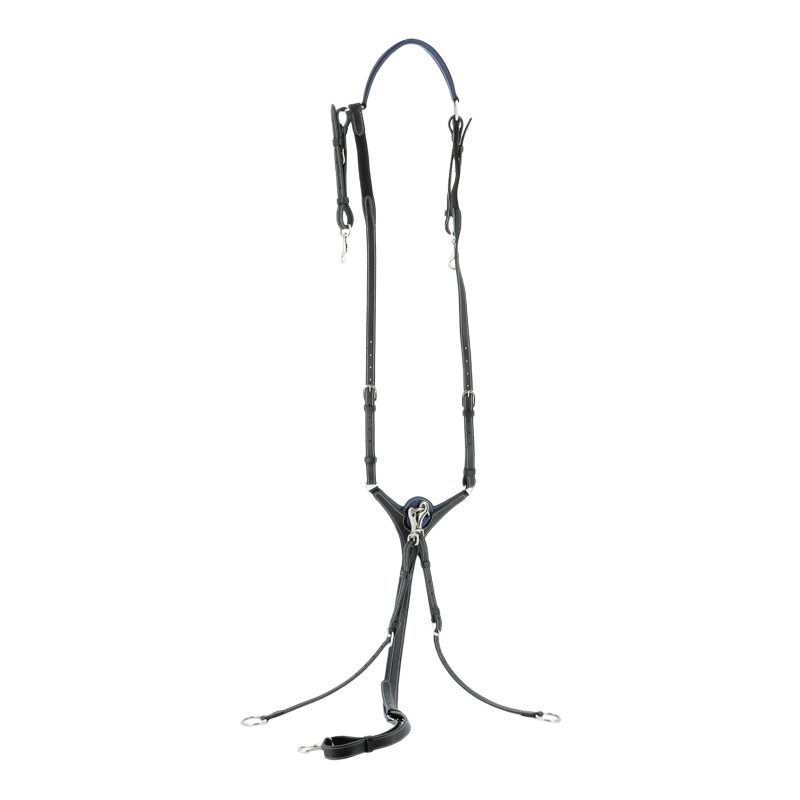 Flags & Cup - Collier de chasse Paris Noir / Marine | - Ohlala