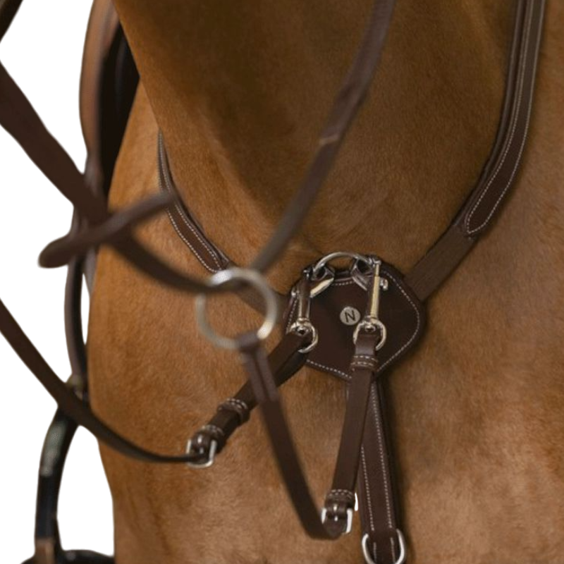 Norton - Collier de chasse pro Confort havane | - Ohlala