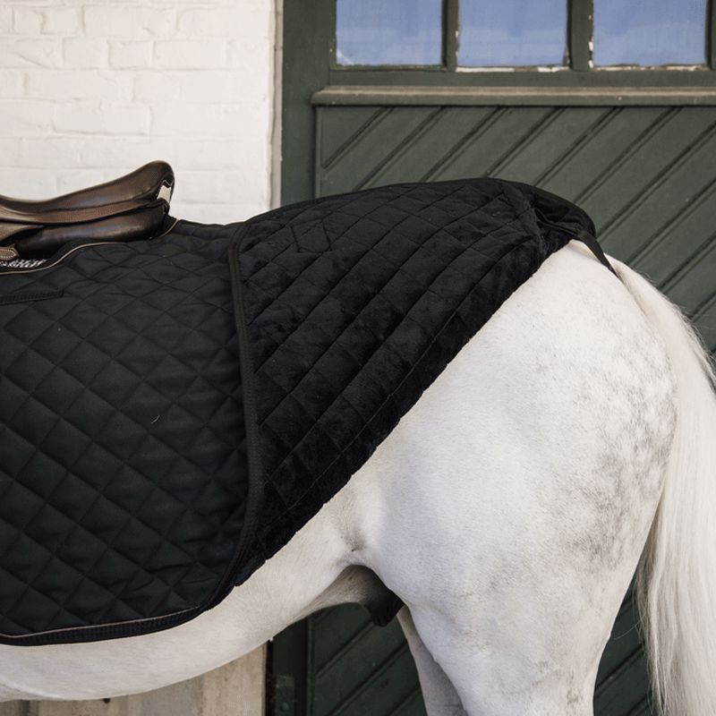 Kentucky Horsewear - Couvre-reins carré noir 160g | - Ohlala