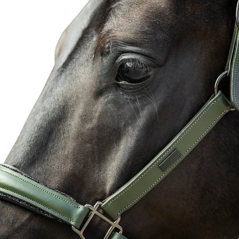 Equestrian Stockholm - Licol en cuir Glimmer striking valley | - Ohlala