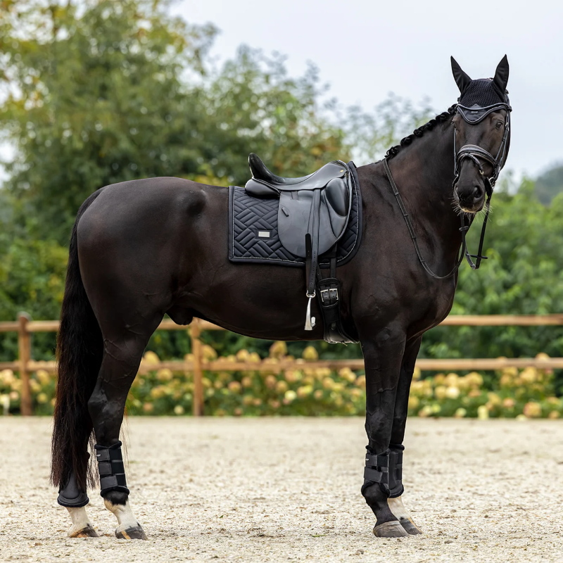 Equestrian Stockholm - Modernes schwarzes Dressur-Pferdedecke