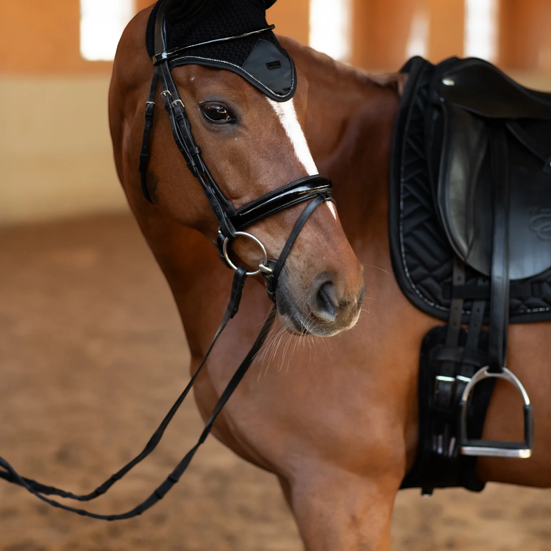 Equestrian Stockholm - Modernes schwarzes Dressur-Pferdedecke