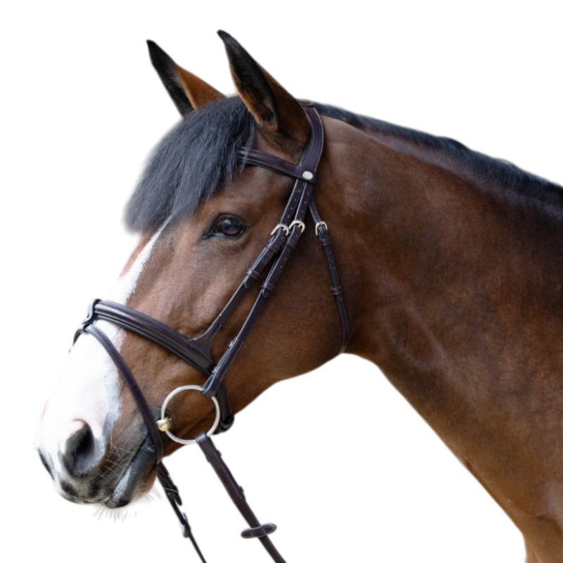 Jump'In - Muserolle combinée Evolution havane