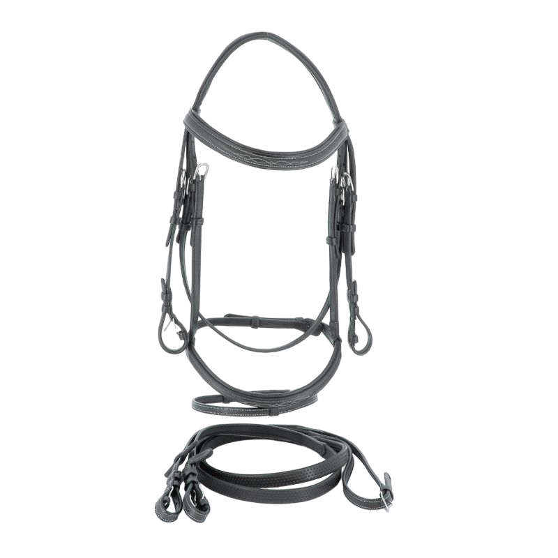 Flags & Cup - Wellington bridle with black reins