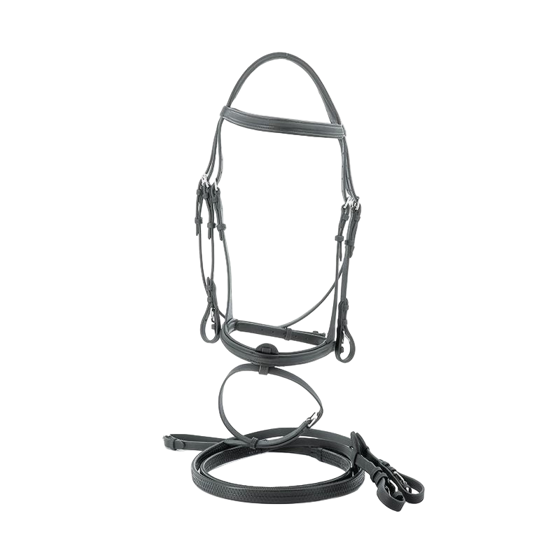 Privilege Equitation – Dinard-Zaumzeug kombiniert mit schwarzen Zügeln