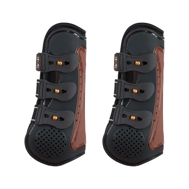 TdeT - kompetentes Schwarz/Brown X2 von Proteck Gaichern
