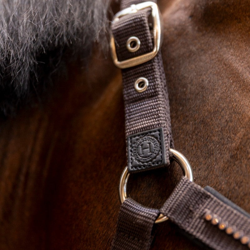Harcour - Love cocoa halter and lead rope