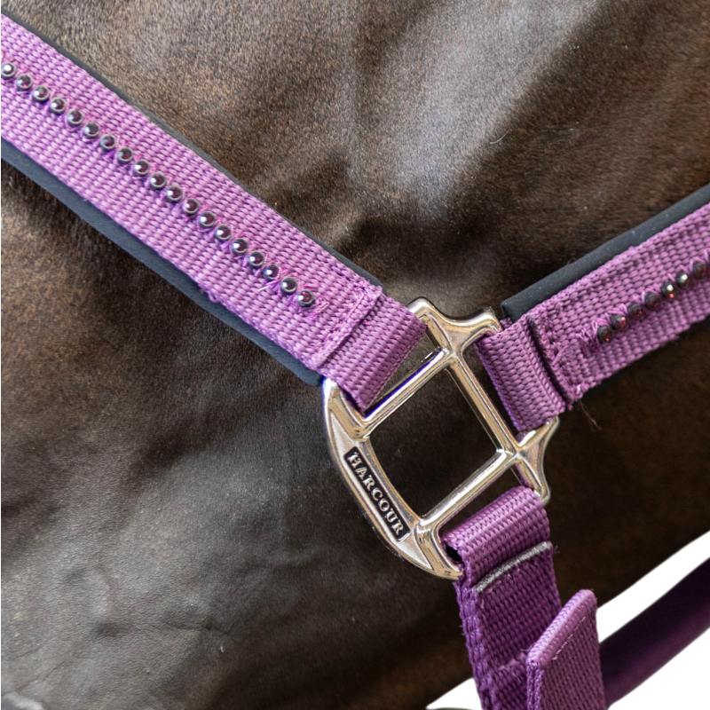 Harcour - Love halter and lead rope fig