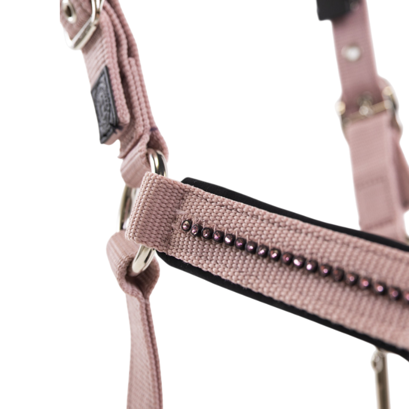 Harcour - Love peony halter and lead rope set