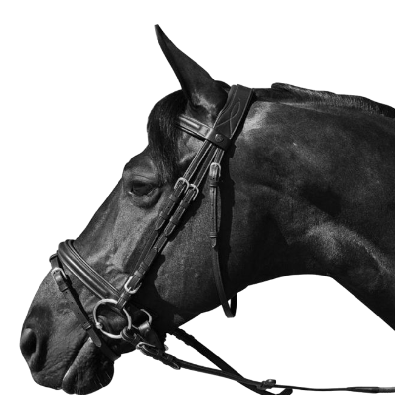 Flags & Cup - Bridon Hickstead avec rênes noir | - Ohlala