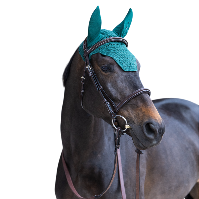 Jump'In - Bonnet pour chevaux Balthazar vert/ vert | - Ohlala