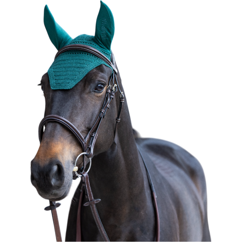 Jump'In - Bonnet pour chevaux Balthazar vert/ vert | - Ohlala