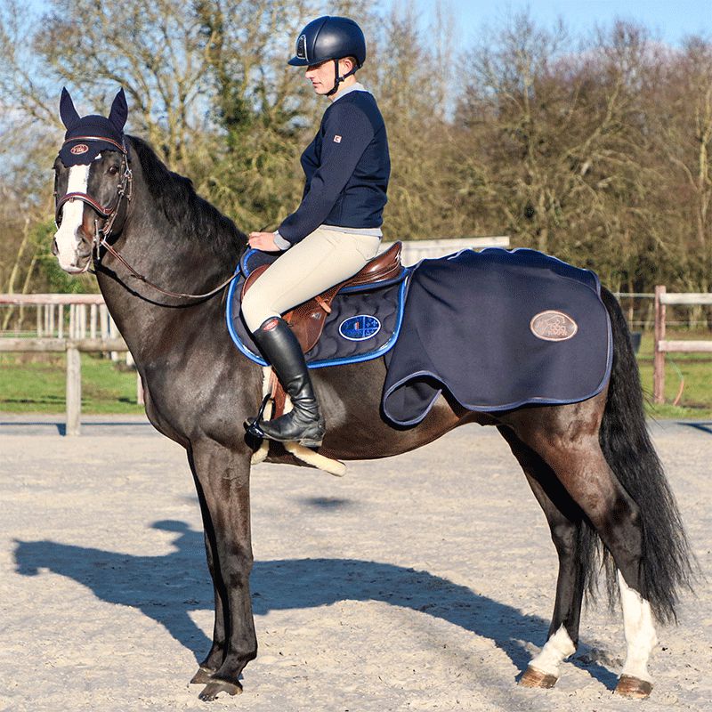 Harcour - Sweat Teddy Anaheim | - Ohlala