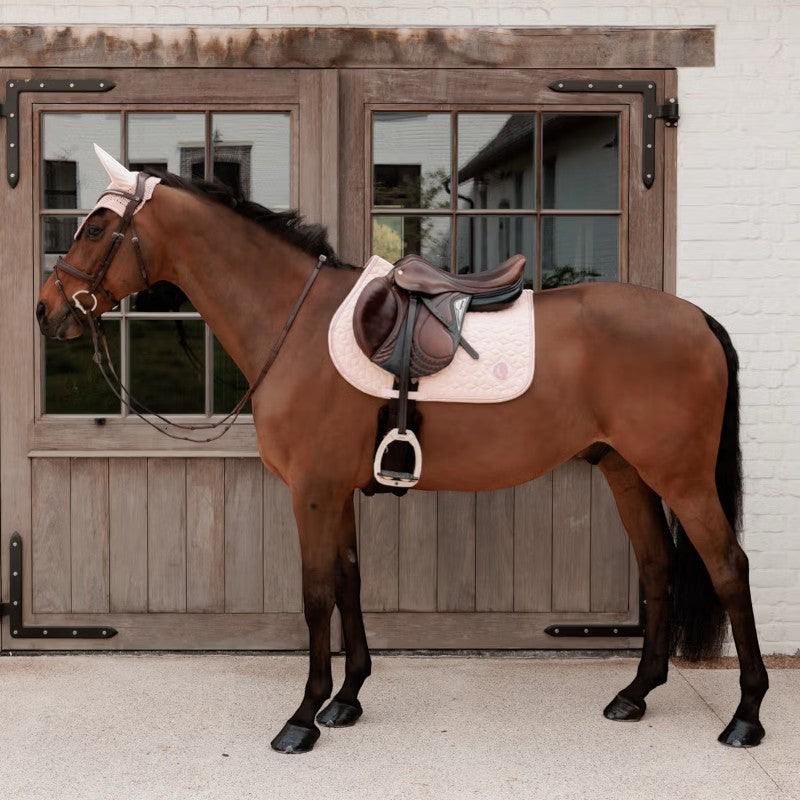 Kentucky Horsewear - Hoofdband voor paarden Wellington Sparkling oudroze