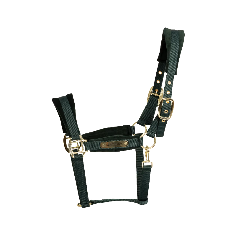 Kentucky Horsewear - Licol Velvet dennen groen