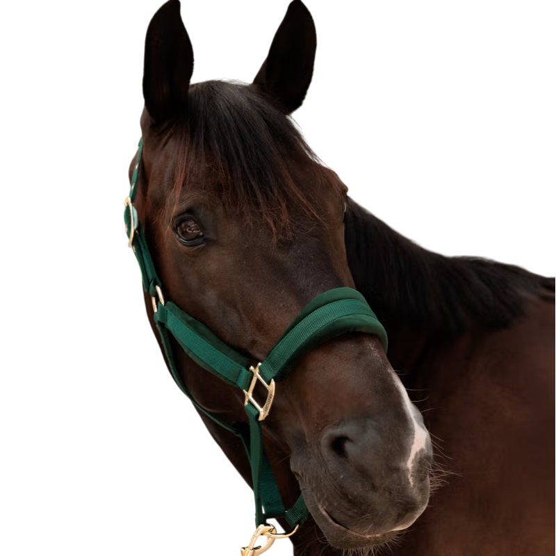 Kentucky Horsewear - Licol Velvet dennen groen