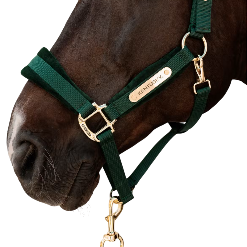 Kentucky Horsewear - Licol Velvet dennen groen