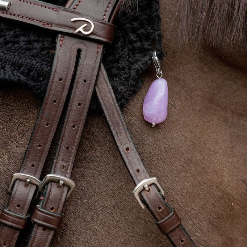 Kentucky Horsewear - Lucky charms pierre light purple | - Ohlala