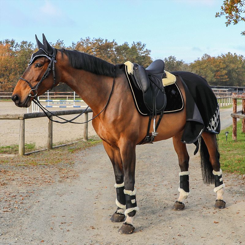 Kentucky Horsewear - Tapis de dressage Corduroy Noir | - Ohlala
