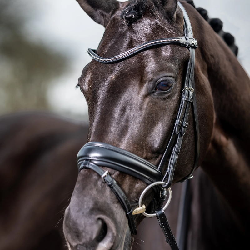 Lemieux - Bridon Kudos Classic Dressage noir | - Ohlala