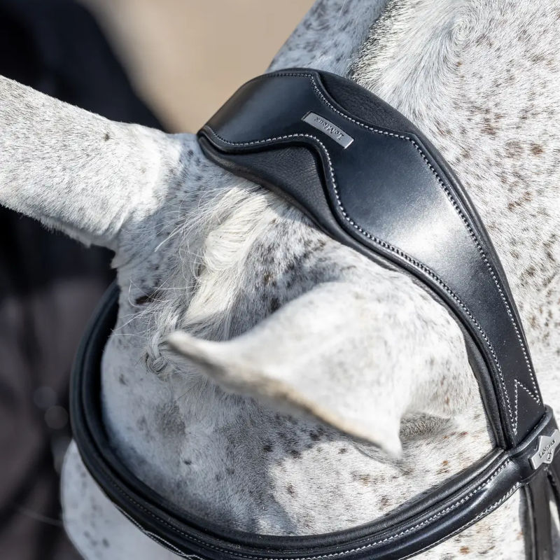 Lemieux - Bridon Kudos Competition Flash noir | - Ohlala