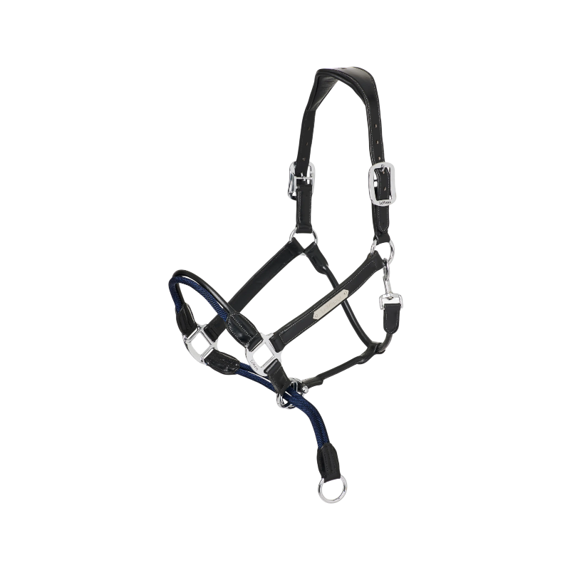 Lemieux - Licol Rop Control noir | - Ohlala