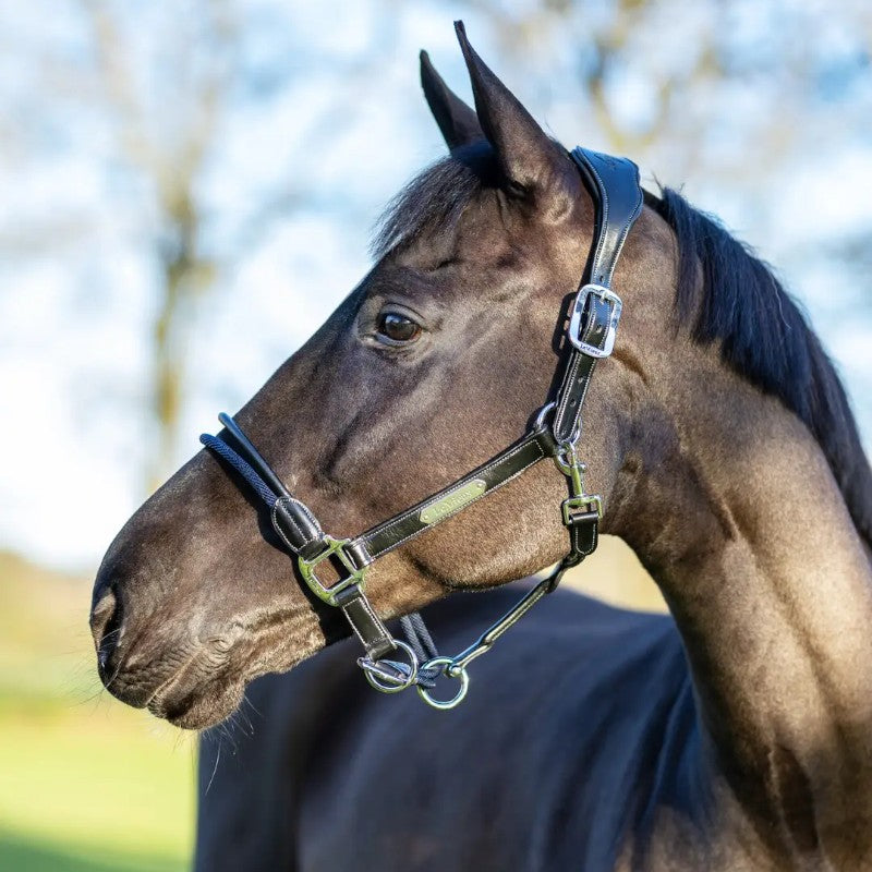 Lemieux - Licol Rop Control noir | - Ohlala