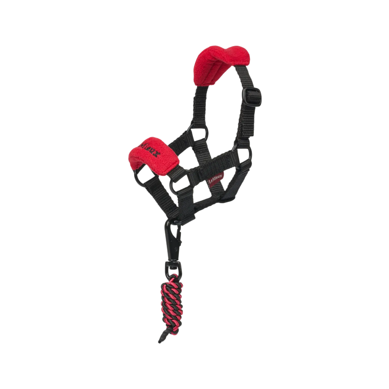 Lemieux - Licol pour Toy Pony Vogue chili | - Ohlala