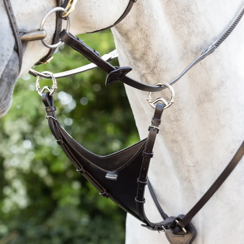 Lemieux - Martingale Bib Kudos marron/ argent | - Ohlala