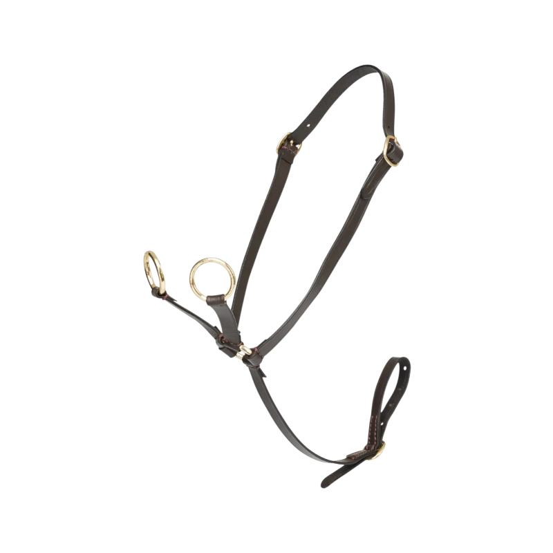 Lemieux - Martingale for brown Toy Pony