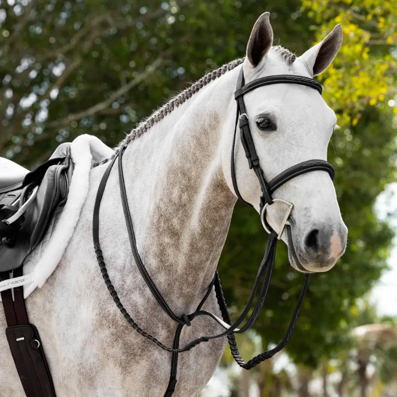 Lemieux - Rênes tressées Hunter noir/ argent | - Ohlala