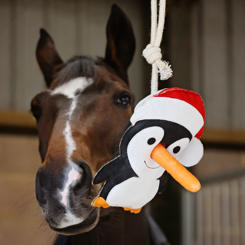 LeMieux - Jouet pour chevaux Pingouin manchot