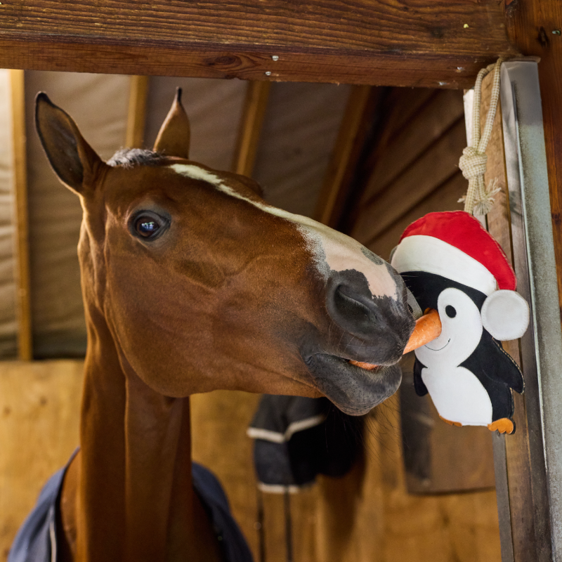 LeMieux - Jouet pour chevaux Pingouin manchot