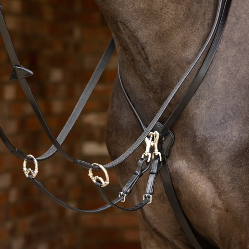 Lemieux - Martingale à anneaux Kudos noir/ argent | - Ohlala