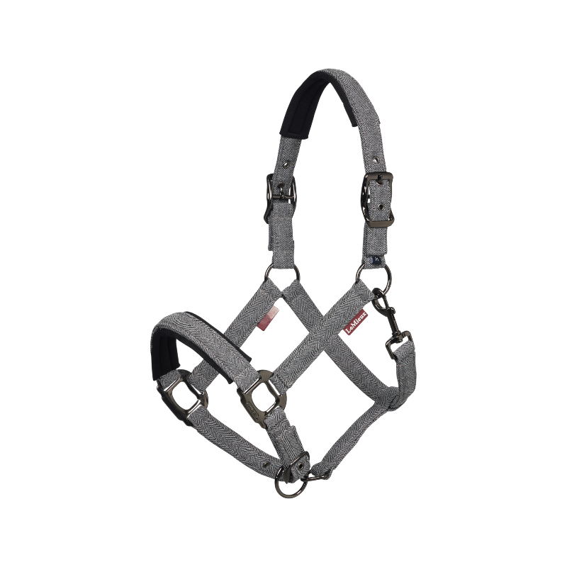 LeMieux - Licol Aspen chevron