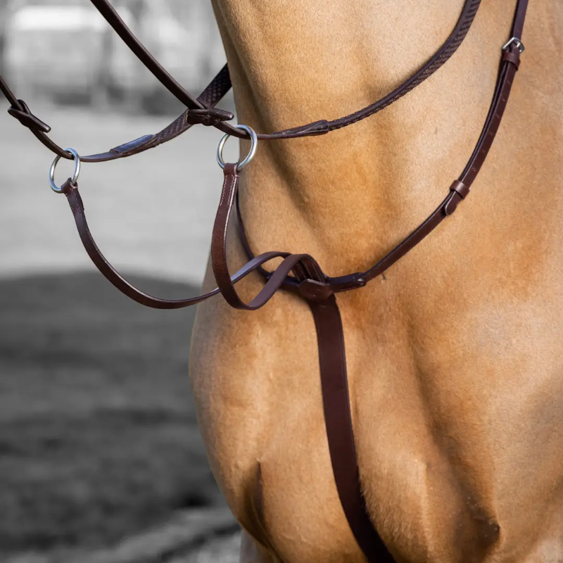 Lemieux - Martingale à anneaux Arika havane/ argent | - Ohlala