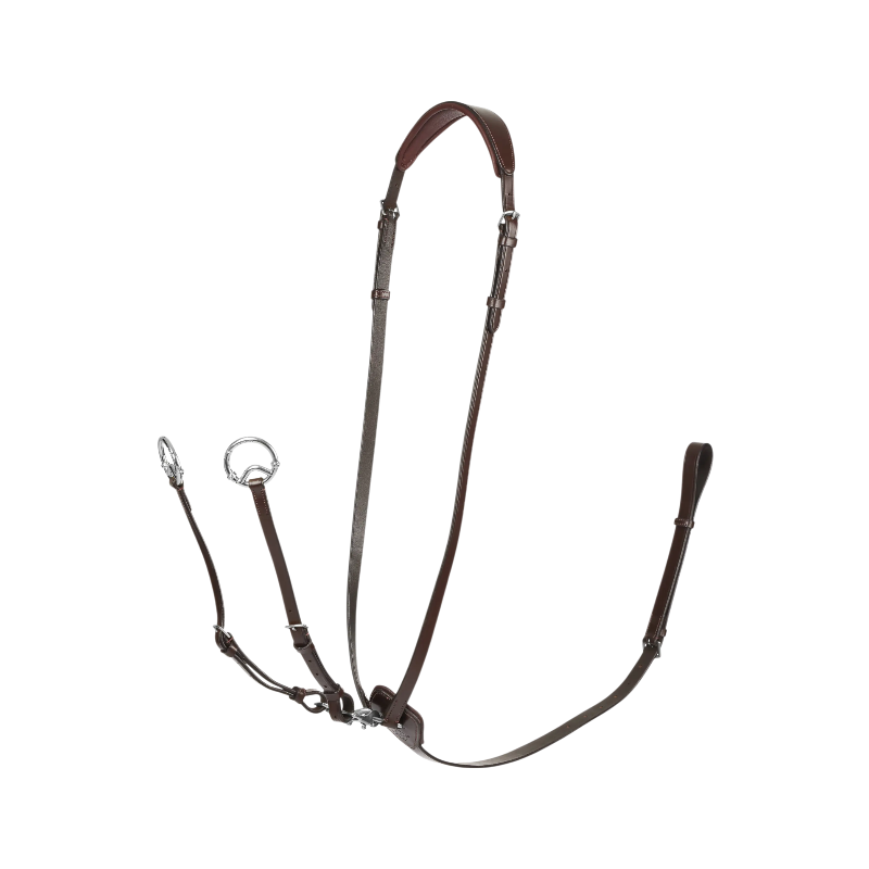 Lemieux - Martingale à anneaux Kudos havane/ argent | - Ohlala