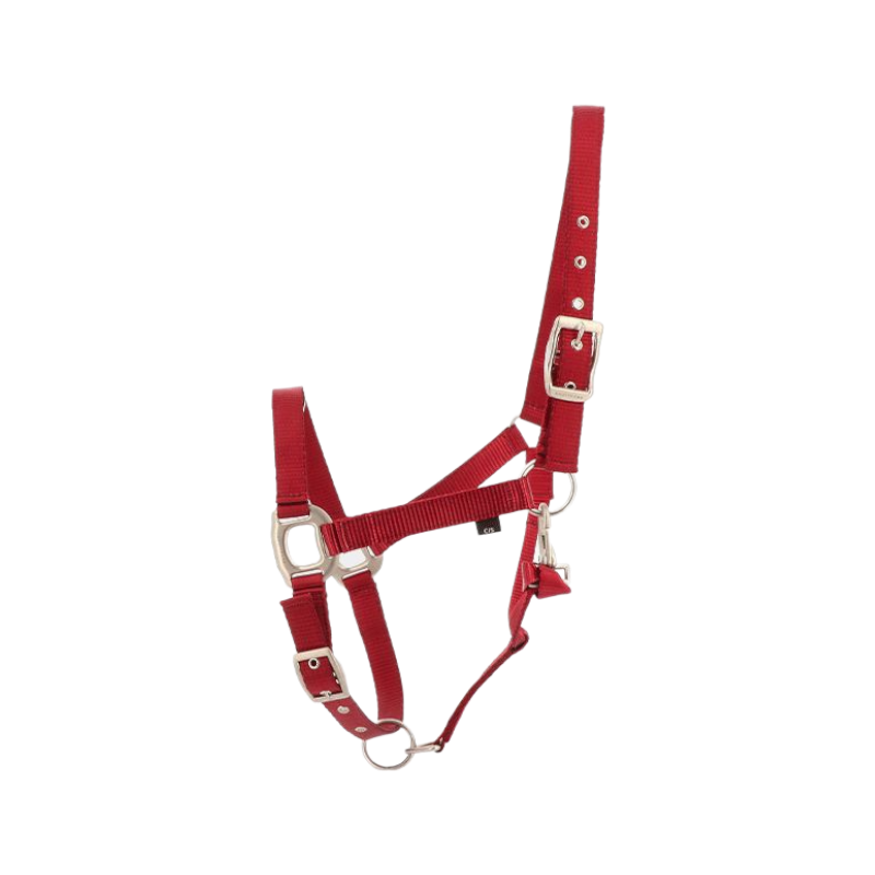 Equithème - Licol cheval Eclat bordeaux | - Ohlala
