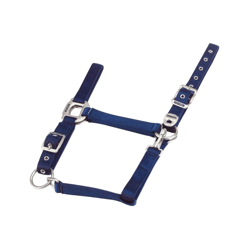 Equithème - Licol en nylon marine | - Ohlala