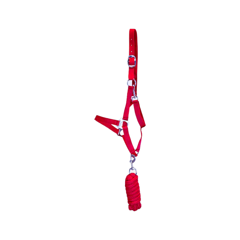 Riding World - Licol et longe Club fuchsia | - Ohlala