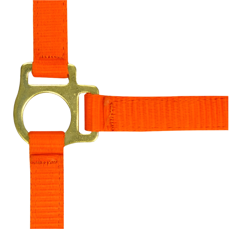 Norton - Licol foal + longe orange | - Ohlala