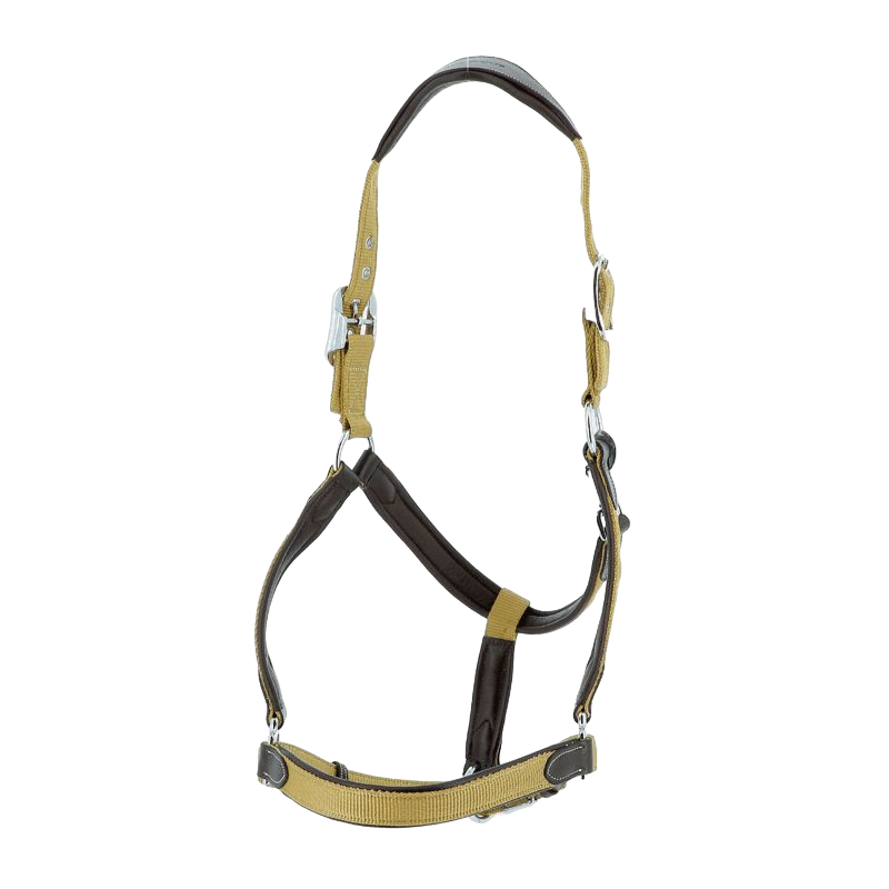 Flags & Cup - Licol cheval nylon et cuir marron / cognac | - Ohlala
