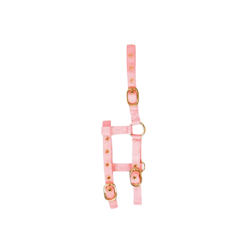 Norton - Licol réglable mini rose | - Ohlala