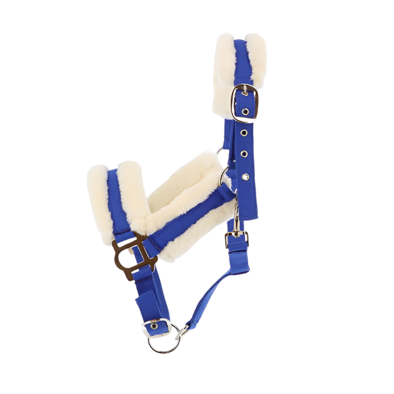 Norton - Licol Confort bleu vif | - Ohlala